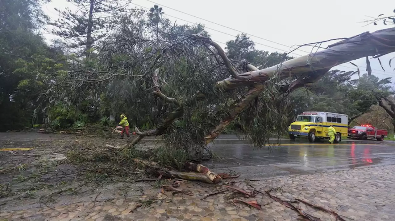 Ellen DeGeneres betroffen von Unwetter in Kalifornien: Video mit ernster Botschaft