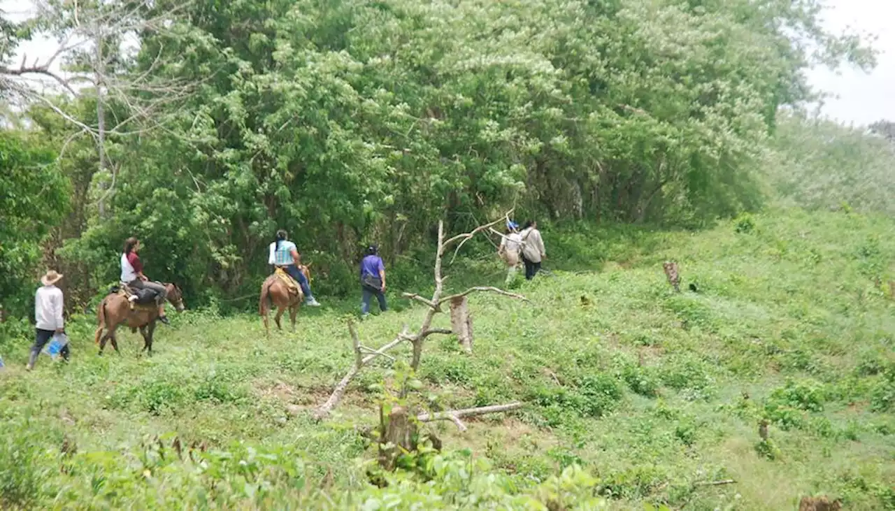 Procuraduría pide intervención ante violencia del 'Clan del Golfo' en Bolívar y Sucre