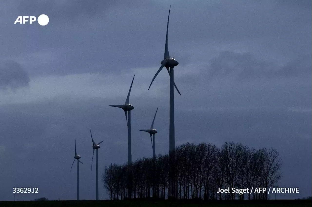 Projet de loi sur les énergies renouvelables : les principales mesures du texte