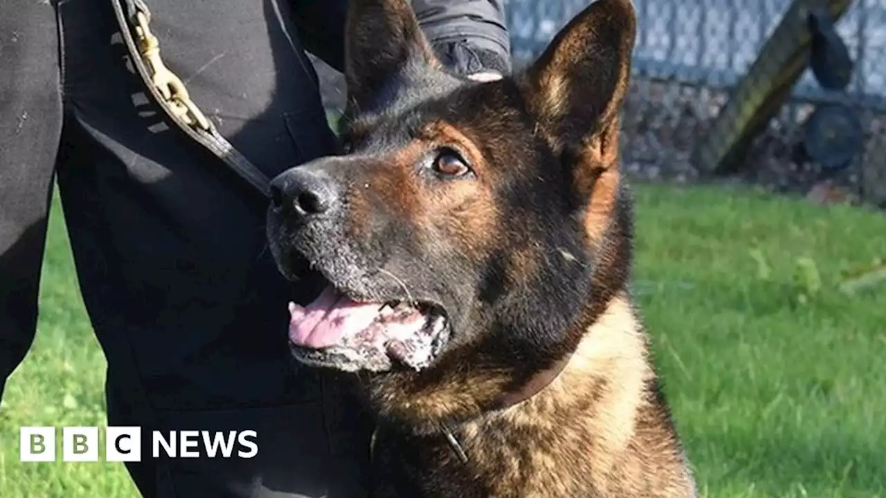 PD Axle: Memorial service held for police dog