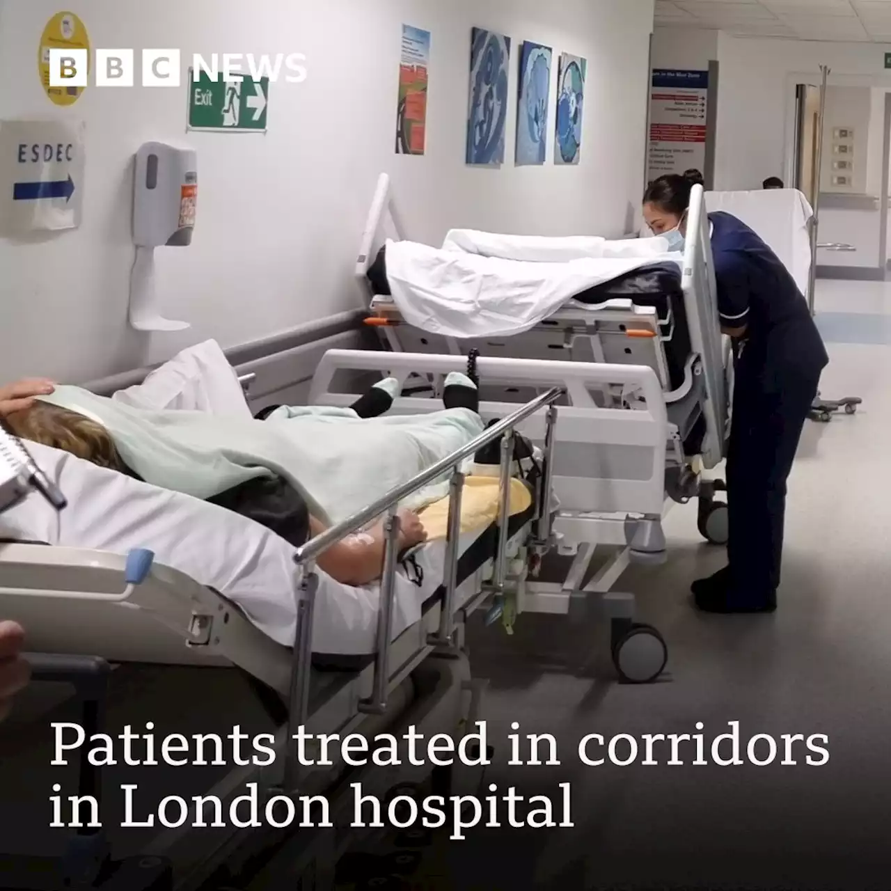 'We don't train to give care in corridors'