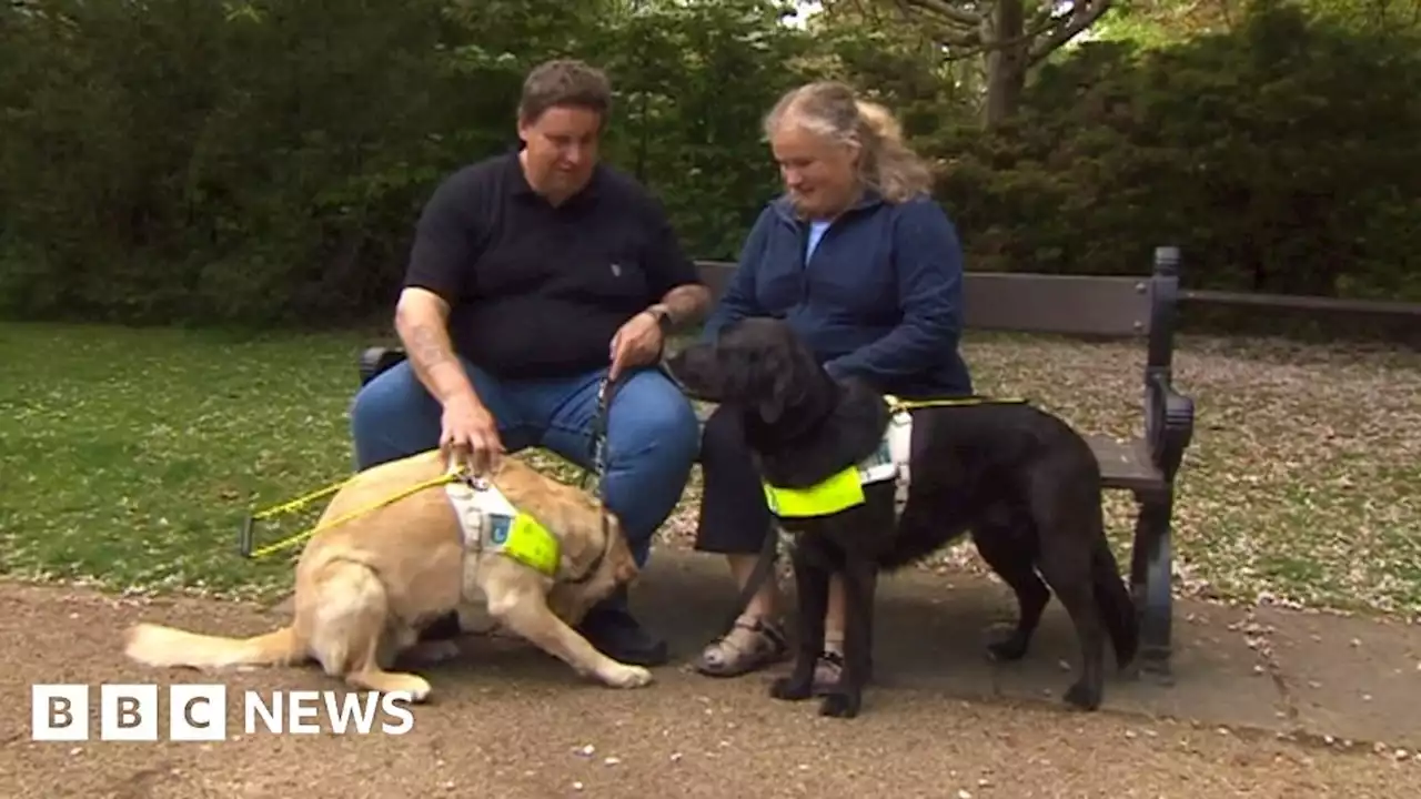 Taxi driver fined for leaving blind couple with guide dogs stranded