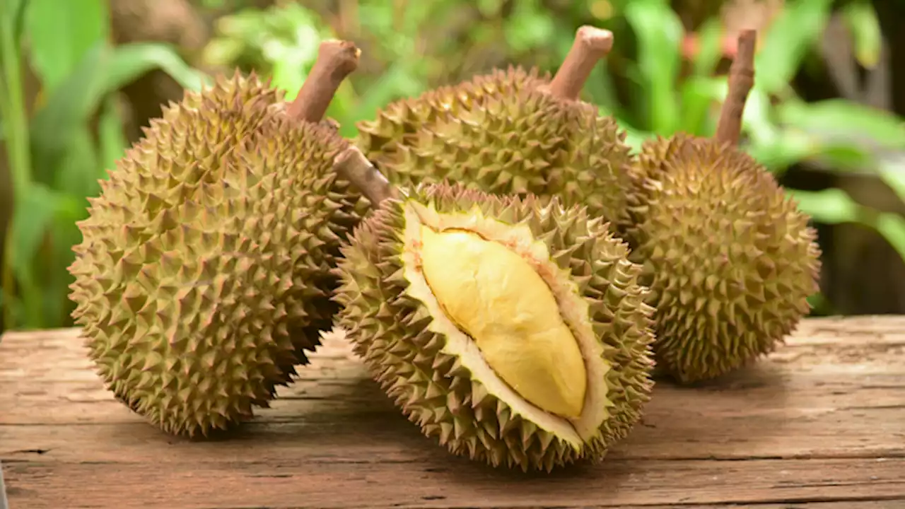 China to spend $260M for PHL durian–DA | Jasper Y. Arcalas