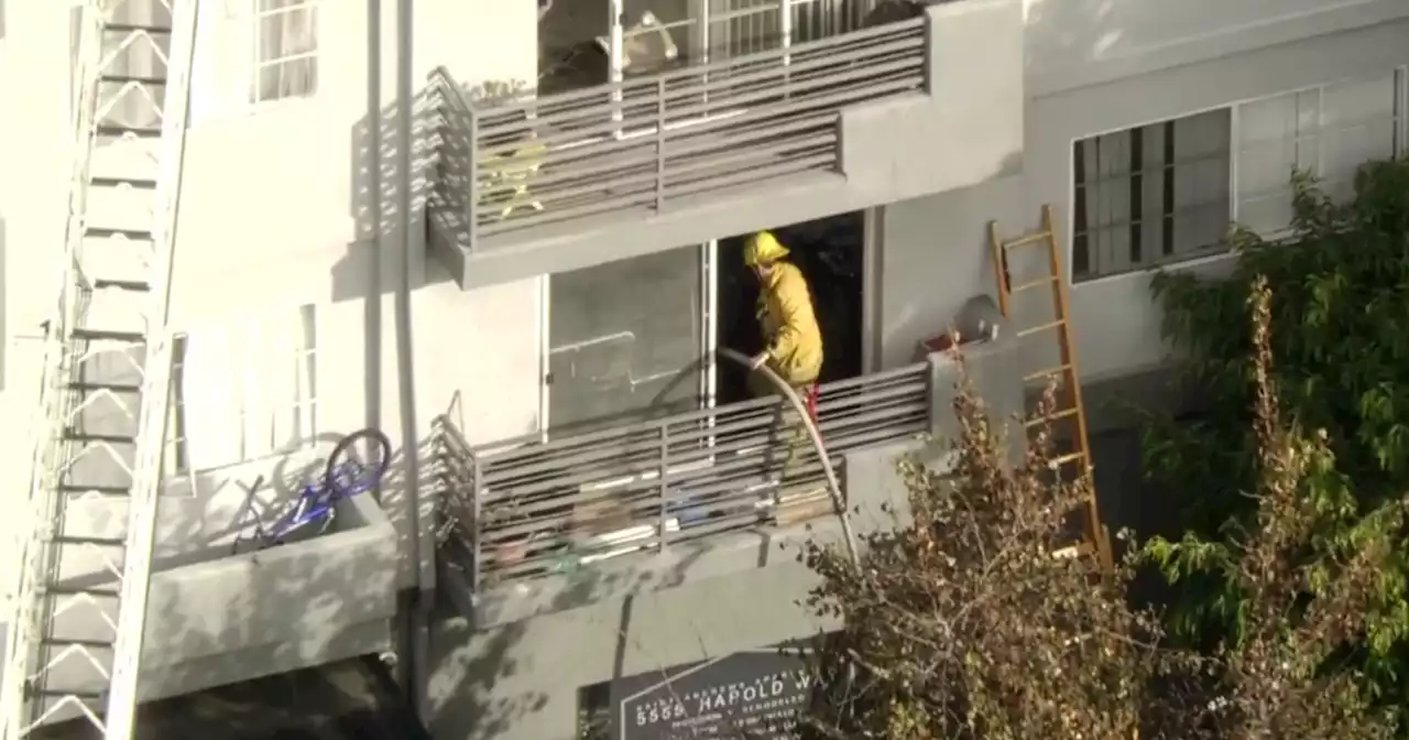 Man found dead in Hollywood apartment building fire