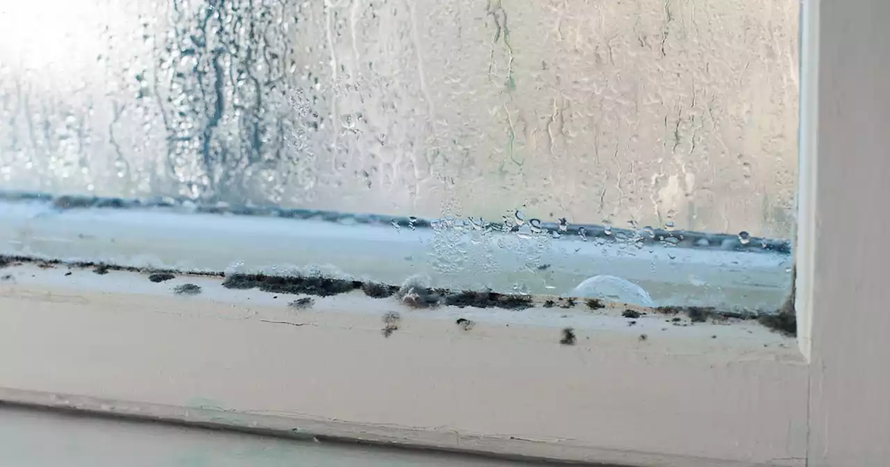 Quick hack banishes condensation in minutes without leaving windows open all day