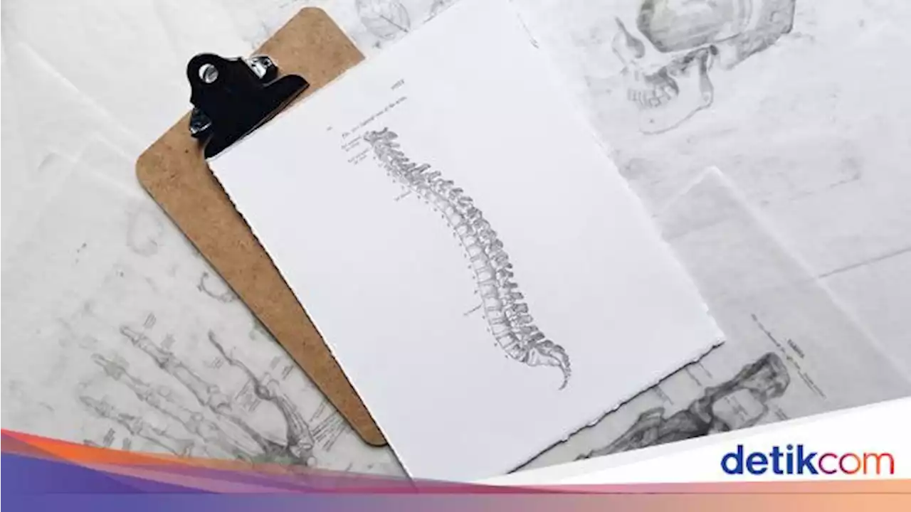 Fungsi Tulang Belakang dalam Menjaga Kesehatan Tubuh