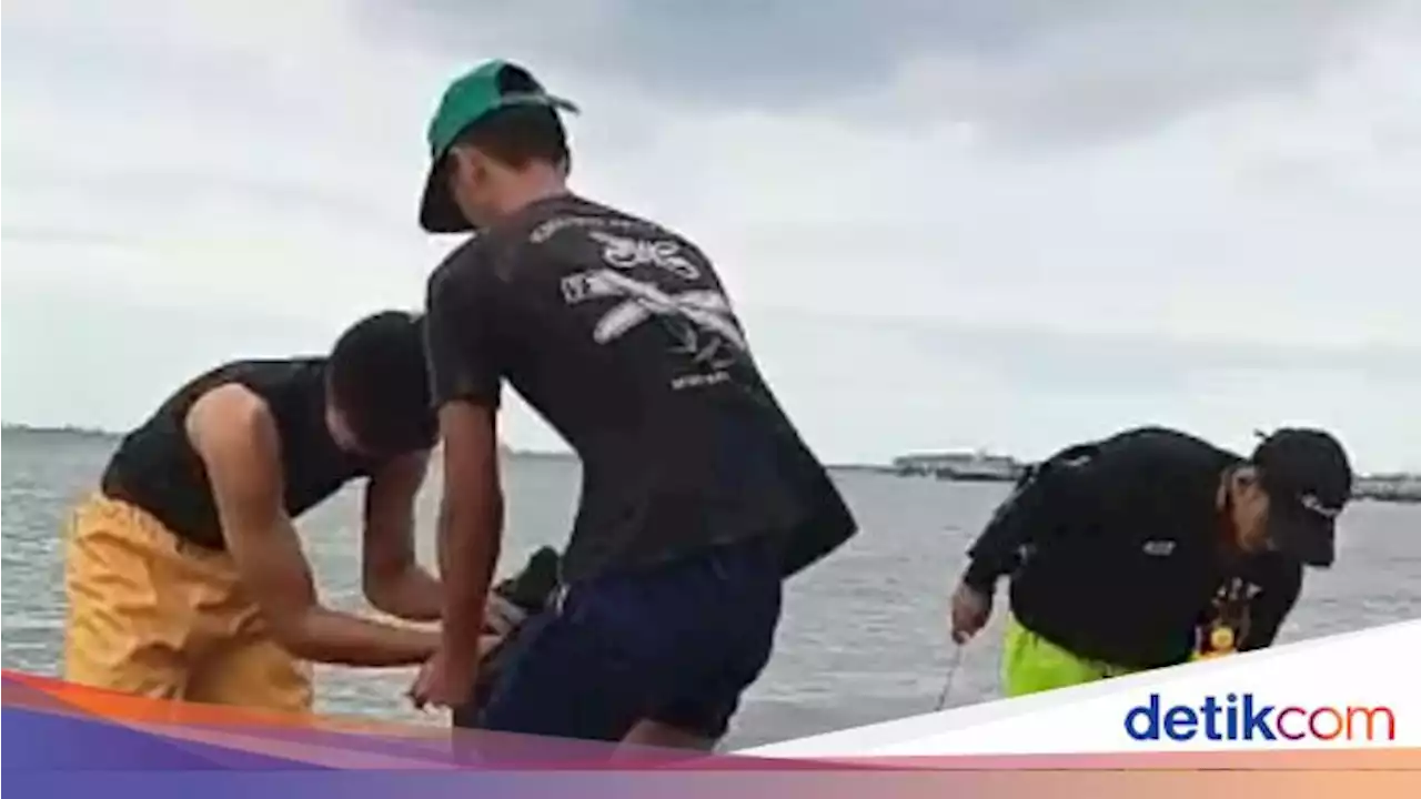 Terinspirasi Pandawara, Anak-anak Muda Ini Singkirkan Sampah Pantai Jakut