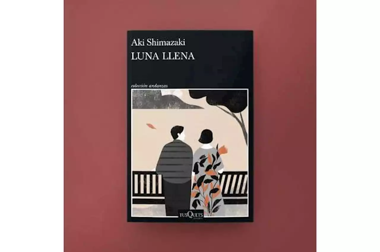 ¿Qué significa vivir?, una reseña de la novela “Luna nueva”