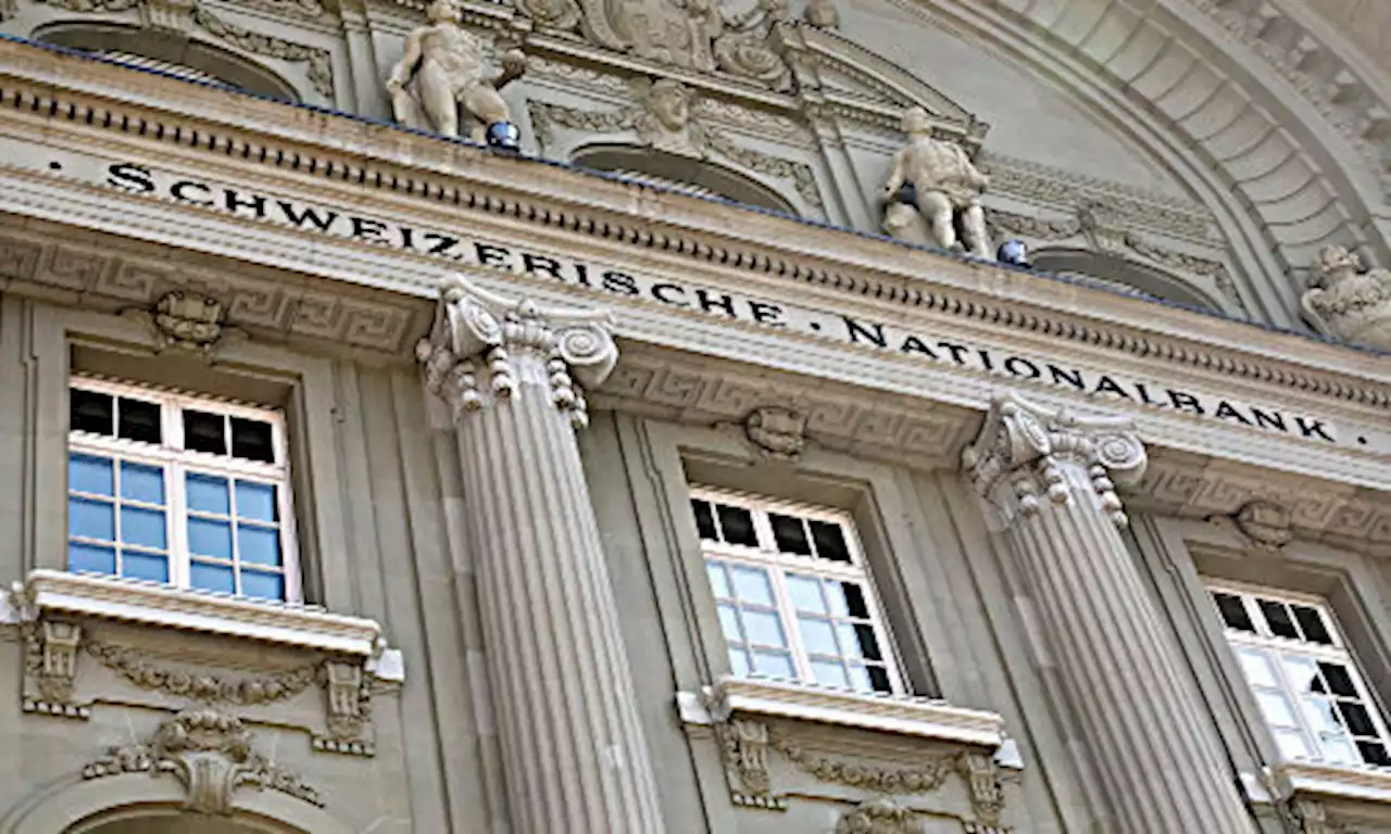 Economists Criticize SNB's Profit Distribution Policy