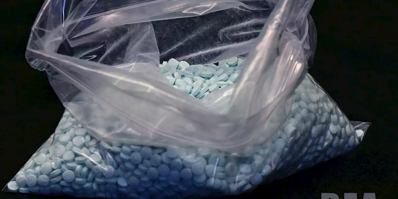 DEA seizes enough fentanyl in 2022 to kill nearly 800,000 Alabamians