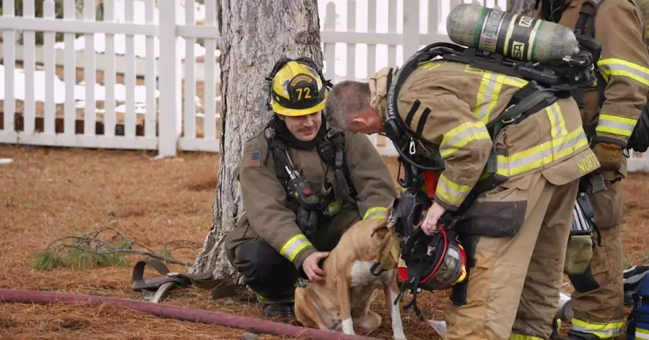 Firefighters rescue, multiple dogs after West Valley City house fire