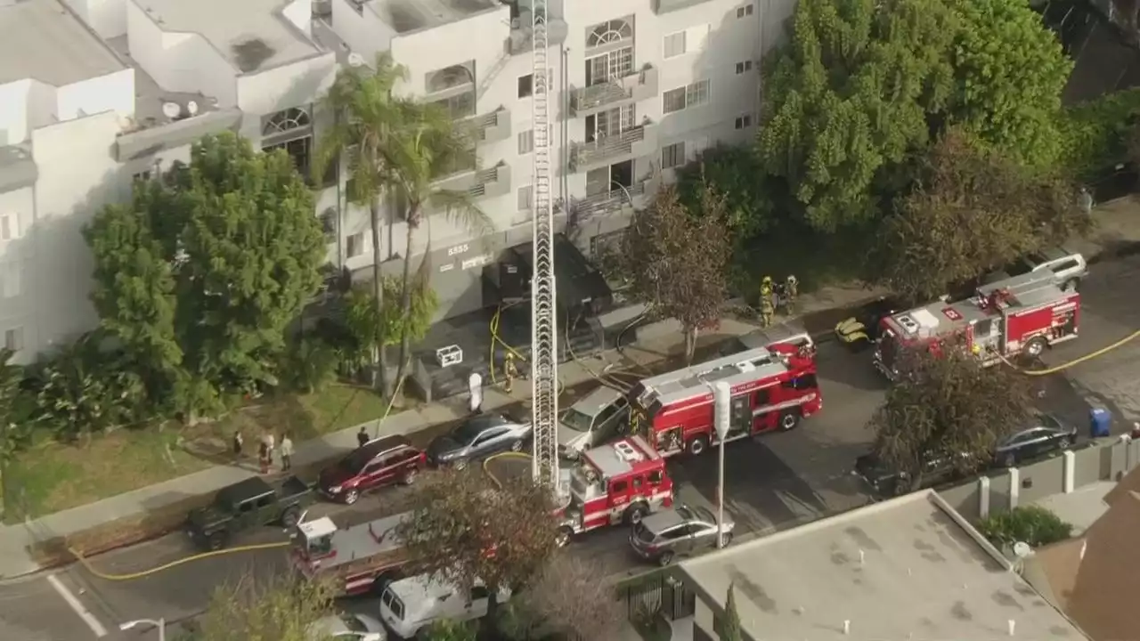 Man found dead at scene of Hollywood apartment fire