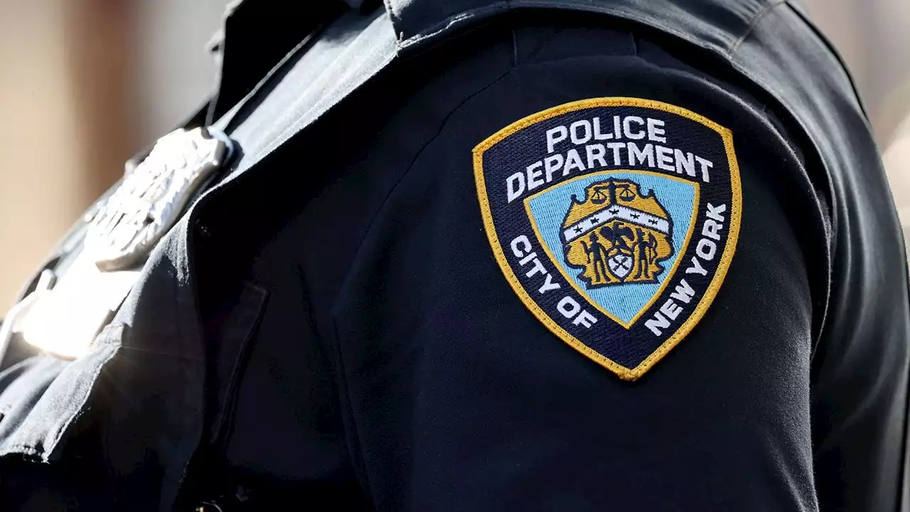 Disgraced ex-NYPD officer with violent past stabbed to death by black-clad masked suspect: report