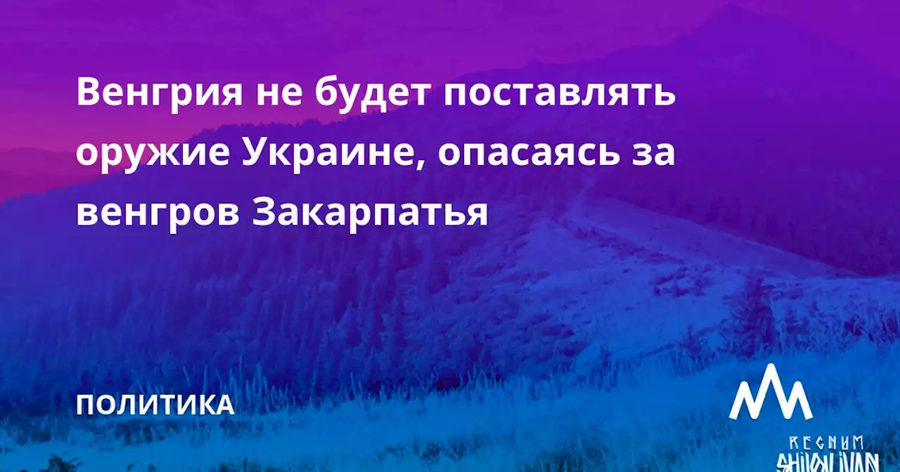 Венгрия не будет поставлять оружие Украине, опасаясь за венгров Закарпатья