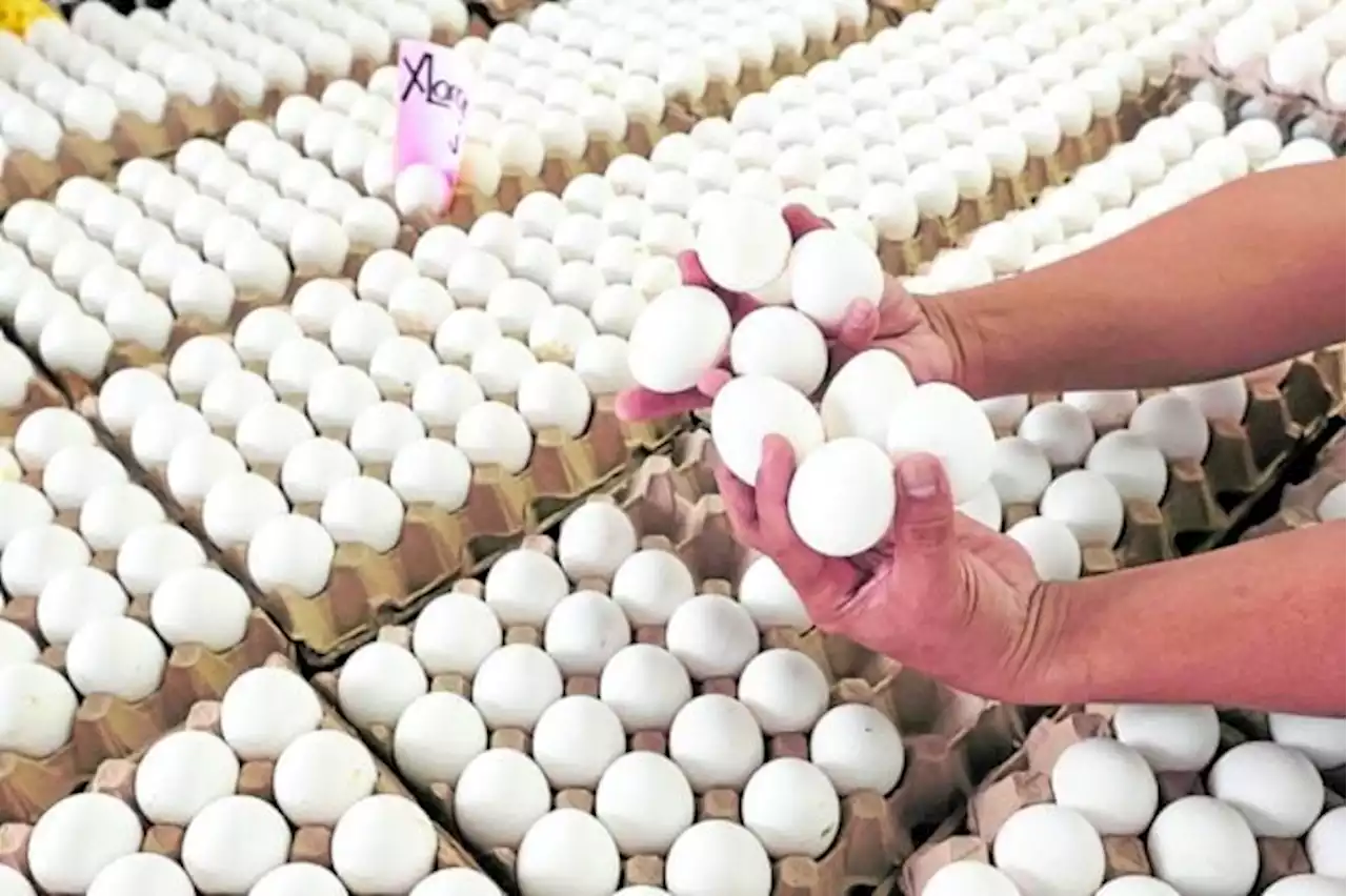 Next food concern: DA sets price watch on eggs