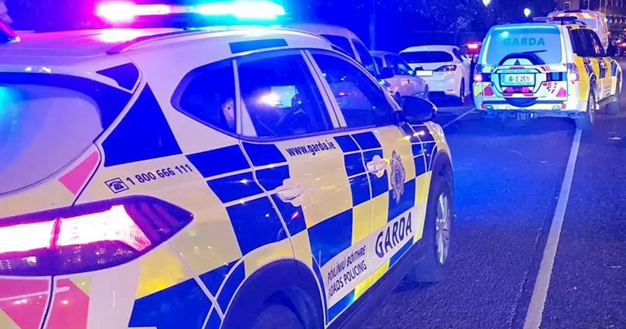 Garda appealing for witnesses after two people die in separate collisions