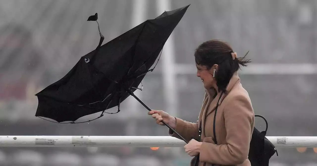 Status Yellow wind warning issued with 'possible' disruptions on Thursday