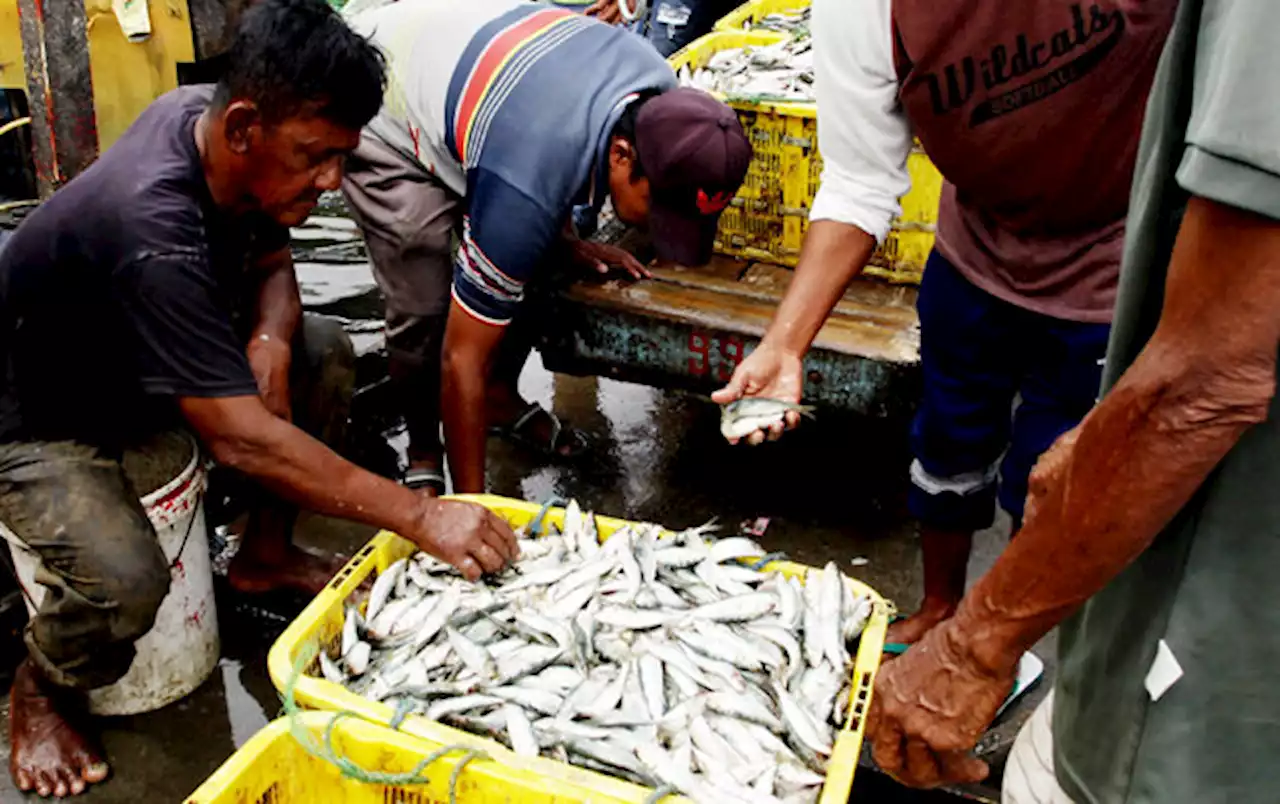 Jaga Kelestarian Sumber Daya, Tangkap Ikan Sesuai Zona dan Kuota