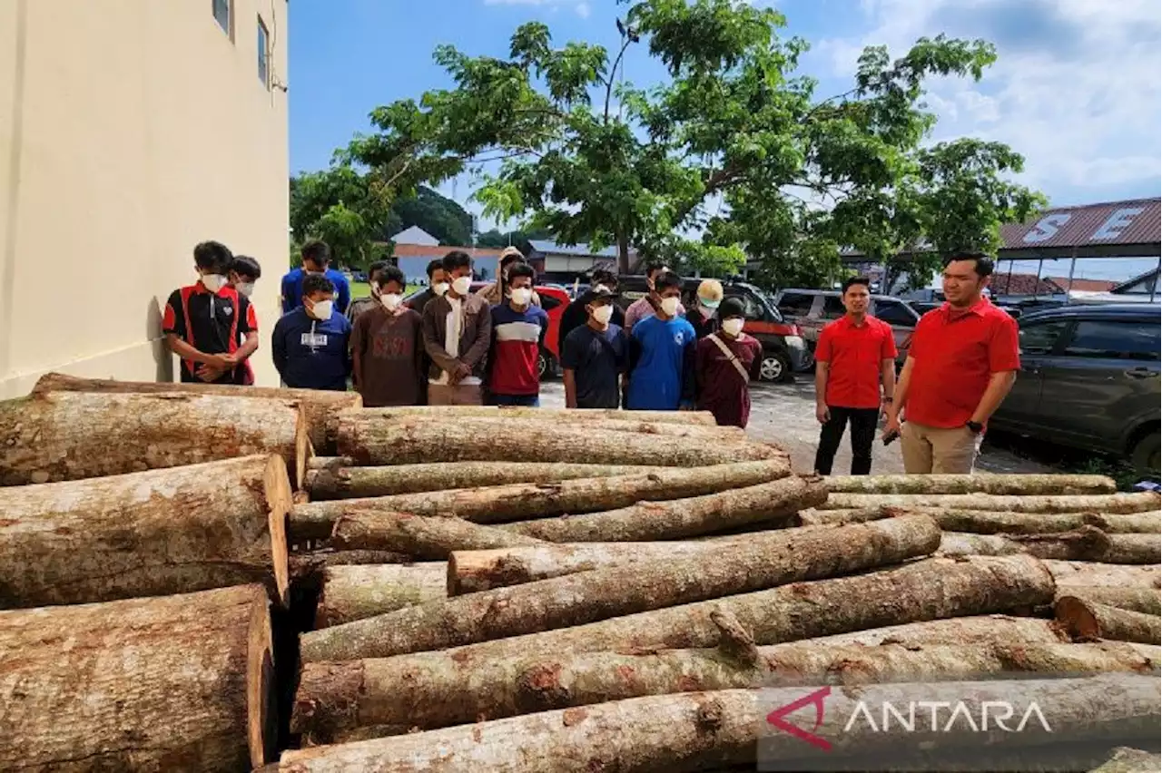 Bemula dari Keluhan Warga, Polisi Ringkus 15 Pelaku Penebangan Liar di Semarang