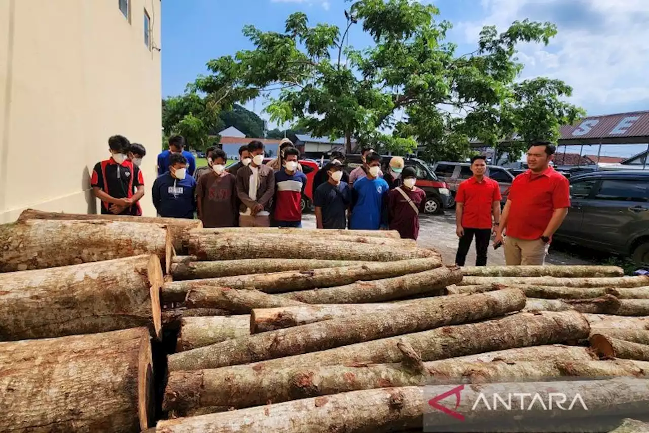 Pembalakan Liar di Tepian Waduk Jatibarang Semarang, 15 Orang Diamankan, 1 Lagi Masih Diburu