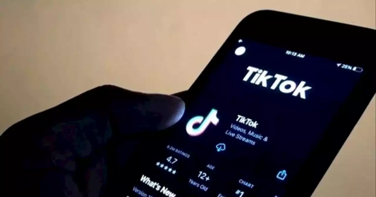 North Bay lawmaker proposes banning TikTok, 'high-risk' apps on state-issued devices