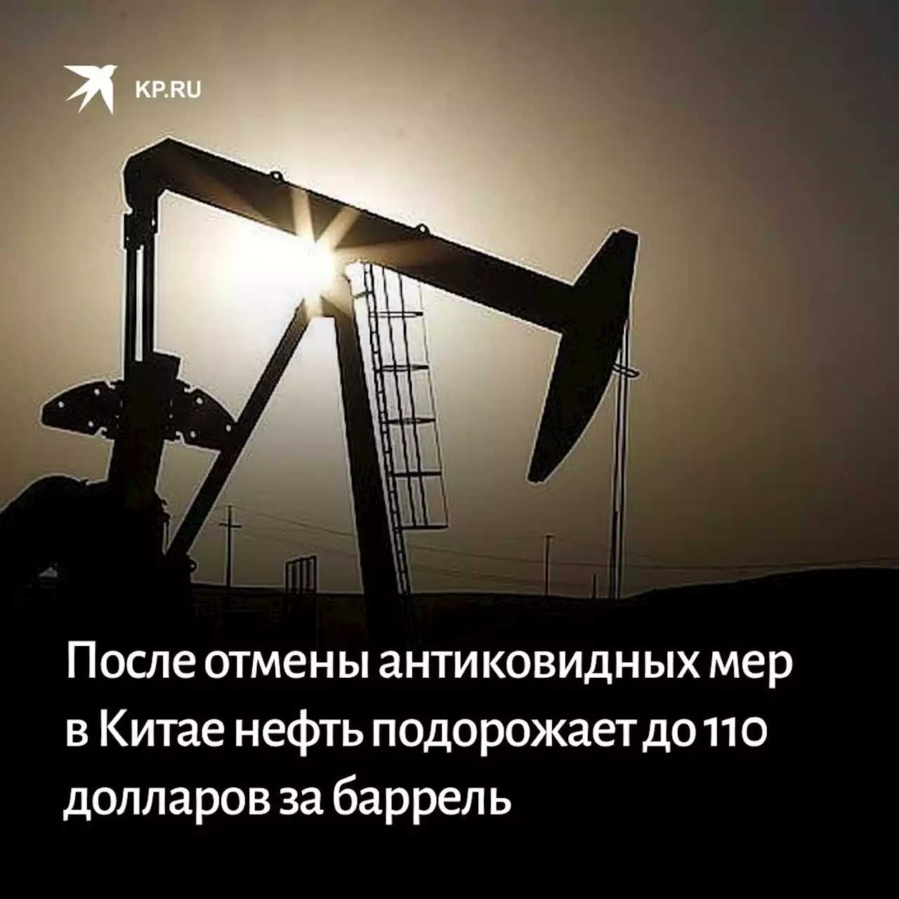 Goldman Sachs прогнозирует подорожание нефти до 110 долларов за баррель после отмены антиковидных мер в Китае