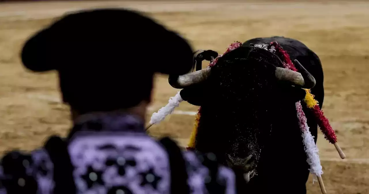 El cuestionamiento de Claudia López al fallo que ordena el regreso de las corridas de toros