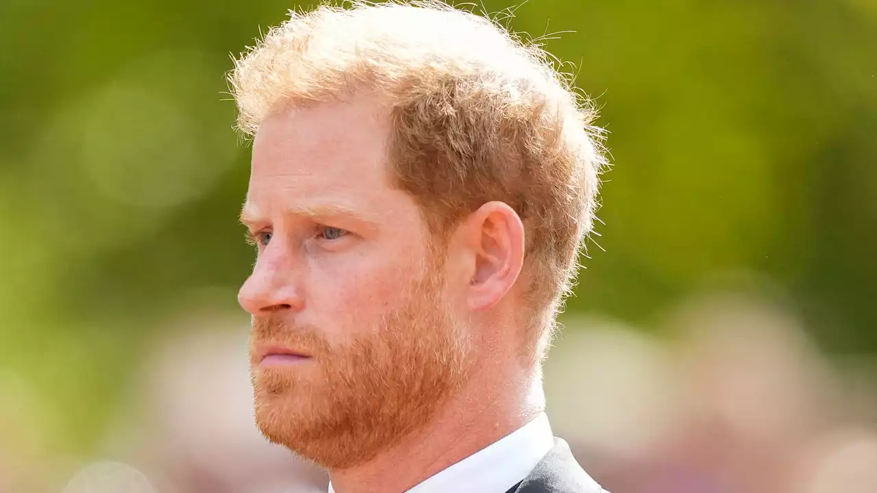 Le prince Harry admet regarder « The Crown » (et être obligé de faire du fact checking)