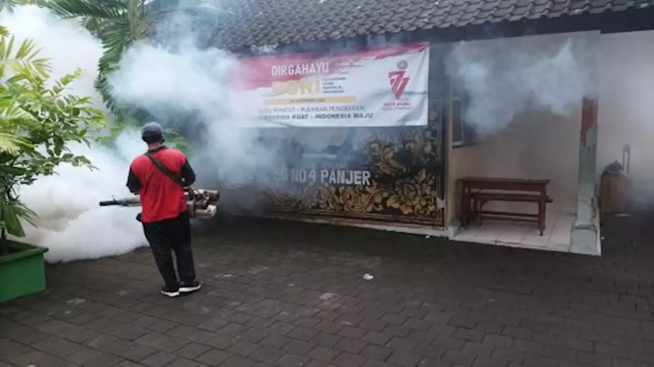 Cegah Demam Berdarah, Fogging Di Kota Denpasar Terus Digencarkan