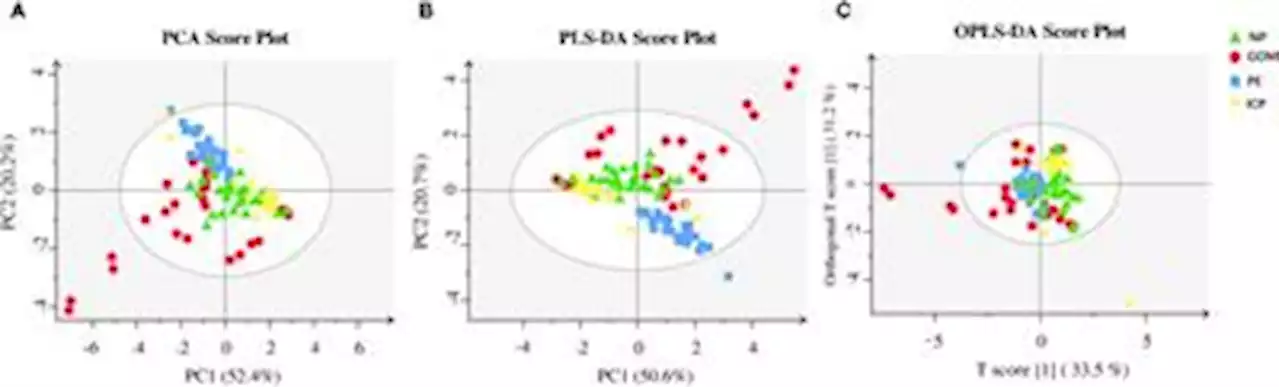 Frontiers | Expression and clinical significance of short-chain fatty acids in pregnancy complications