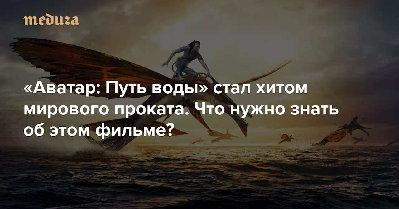 «Аватар: Путь воды» стал хитом мирового проката. Что нужно знать об этом фильме? Актеры снимались под водой без аквалангов, Мэтт Дэймон потерял из-за фильма кучу денег, Кэмерон планирует снять еще три части — Meduza