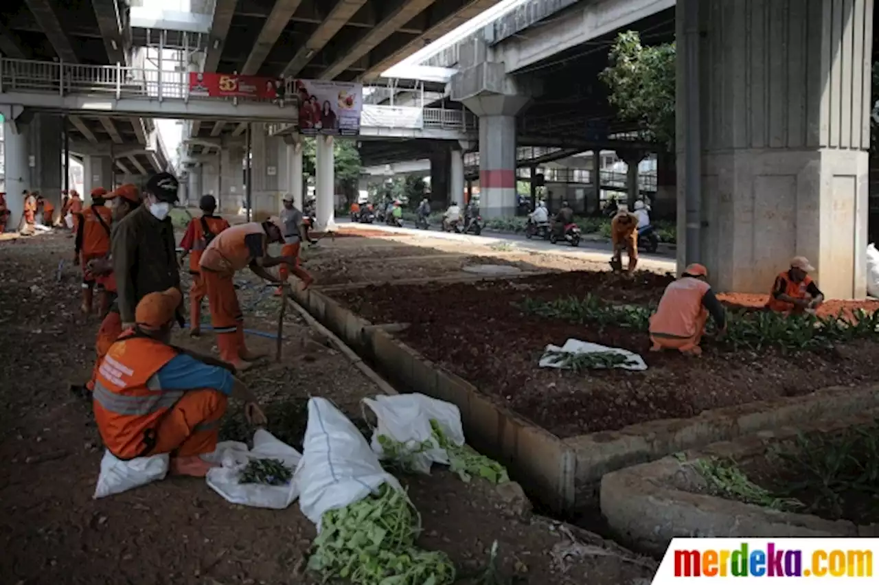 Foto : Pemprov DKI Tata Kolong Tol Becakayu untuk Jaga Mutu Air Baku Jakarta | merdeka.com