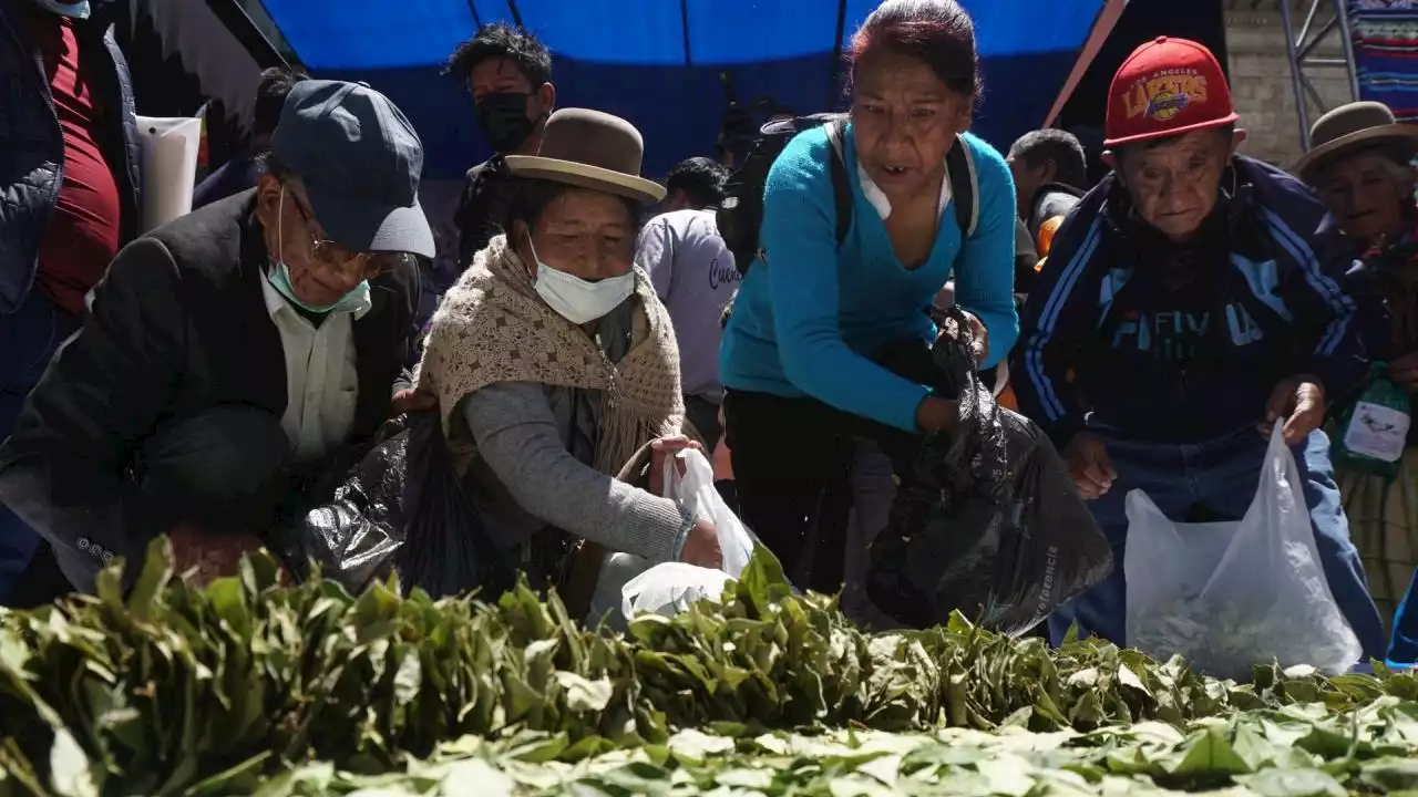 VIDEO: Bolivia buscará la desclasificación de la hoja de coca como estupefaciente | Minuto30