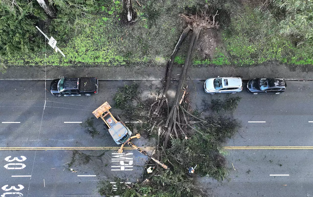 Storm-Weary Californians Clean Up, Brace for ‘Pineapple Express'