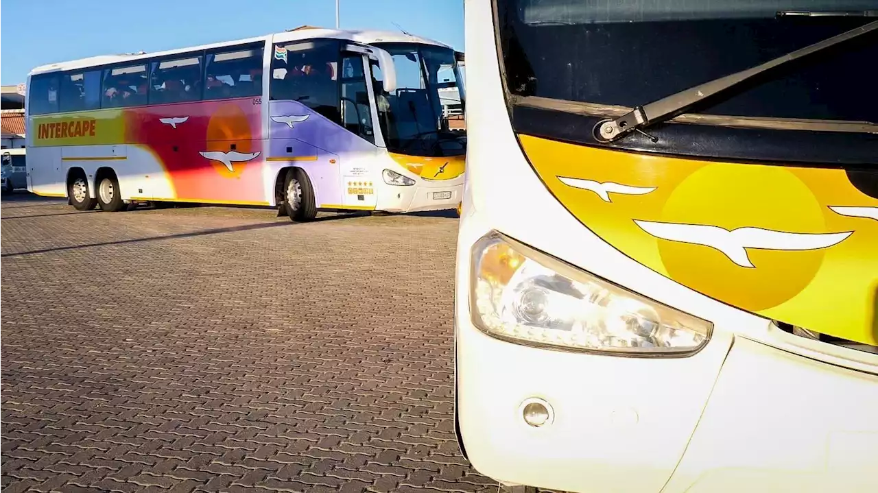 Turf war: Intercape to resume routes to 5 high risk areas in Eastern Cape after attacks on bus drivers | News24