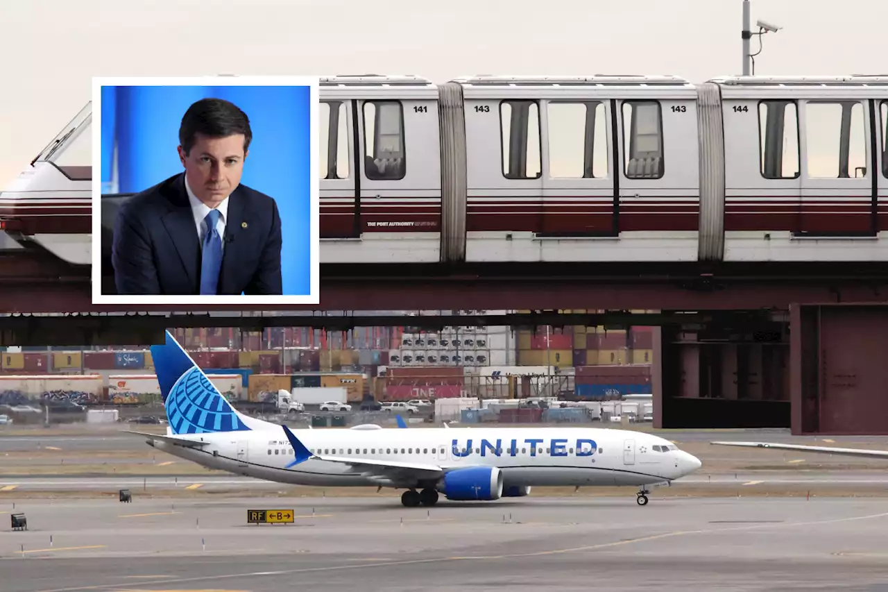 Pete Buttigieg relentlessly mocked after FAA outage grounds all flights