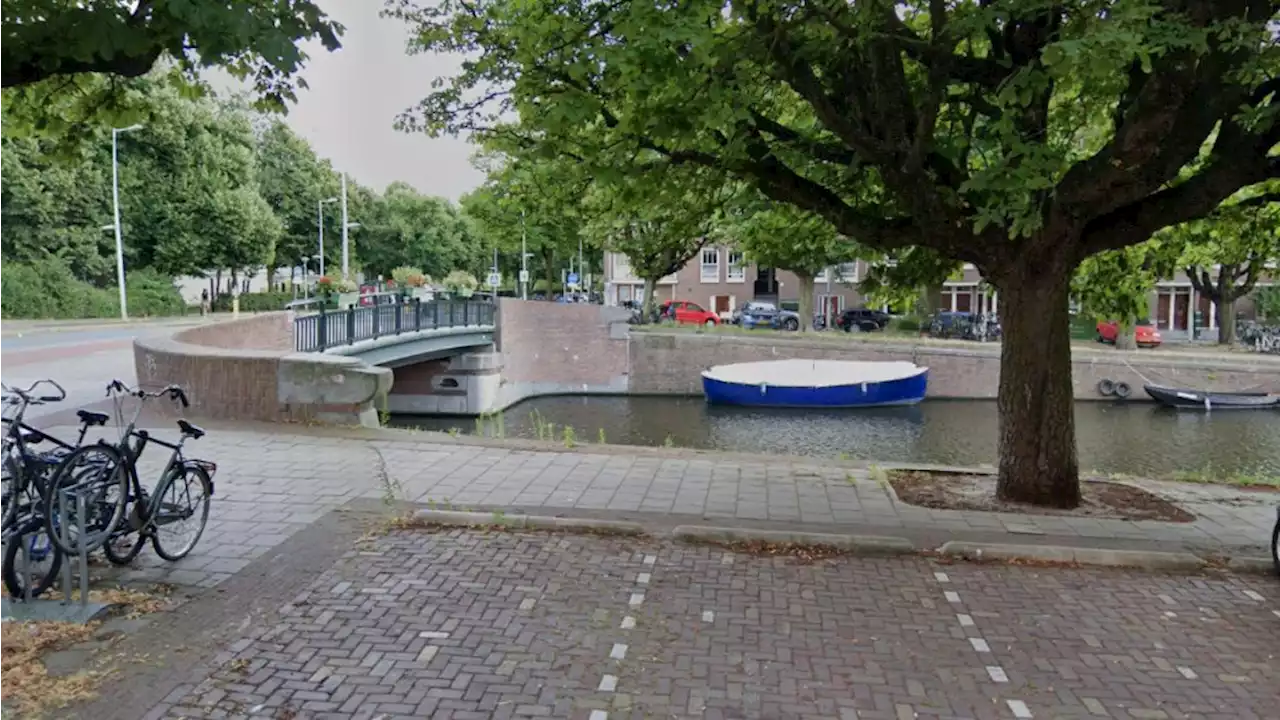 Hond valt in water en overlijdt, baasje naar ziekenhuis na reddingspoging