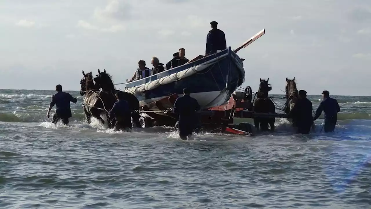 Roeireddingsboot met paarden is voortaan immaterieel erfgoed