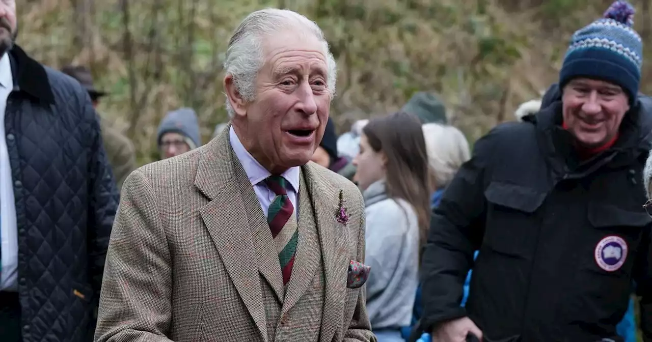 Charles smiles with genuine warmth as he returns to work after Harry 'betrayal'