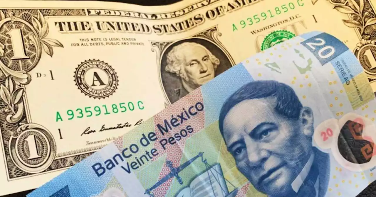 Guanajuato: Miguel Salim advierte 'espejismo' del Banco de México en fortalecimiento del peso