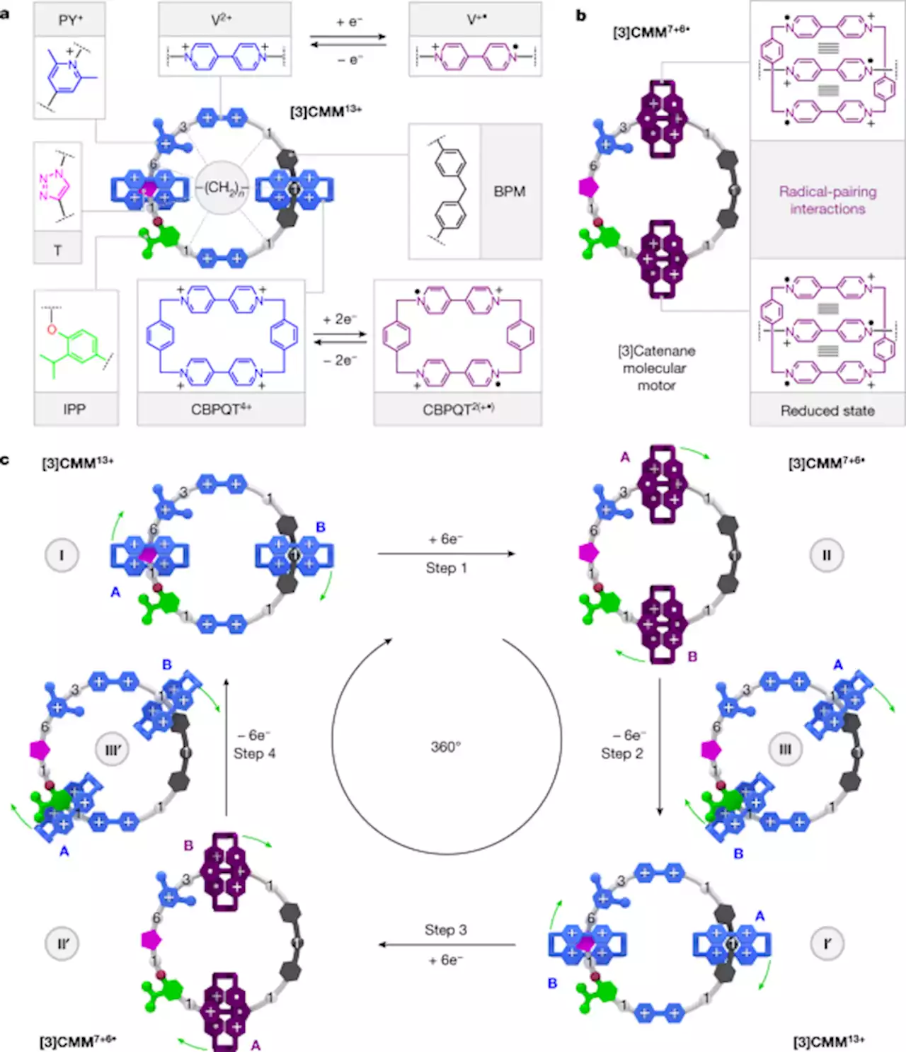 An electric molecular motor - Nature