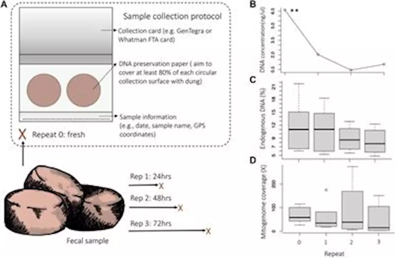 Frontiers | Combining methods for non-invasive fecal DNA enables whole genome and metagenomic analyses in wildlife biology