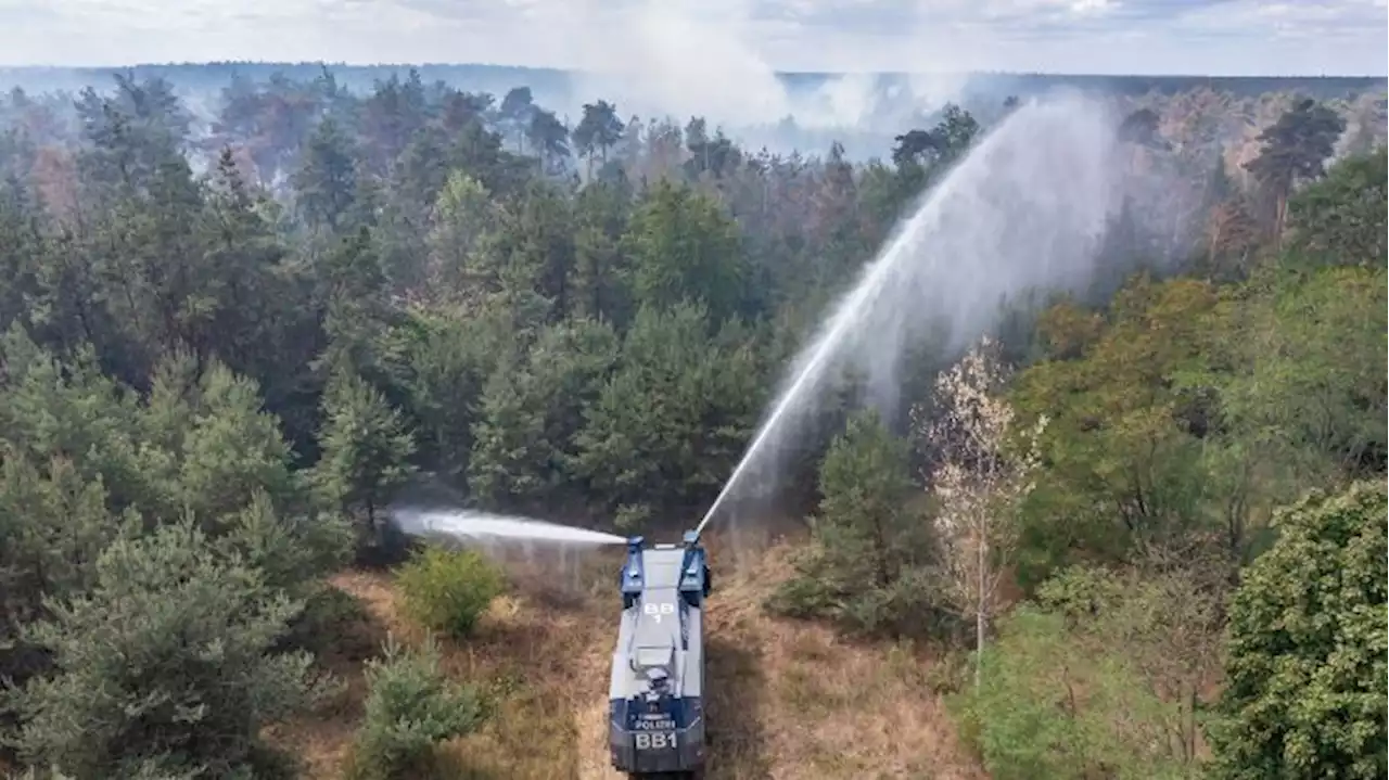 Brandenburg bekommt Kompetenzzentrum gegen Waldbrände