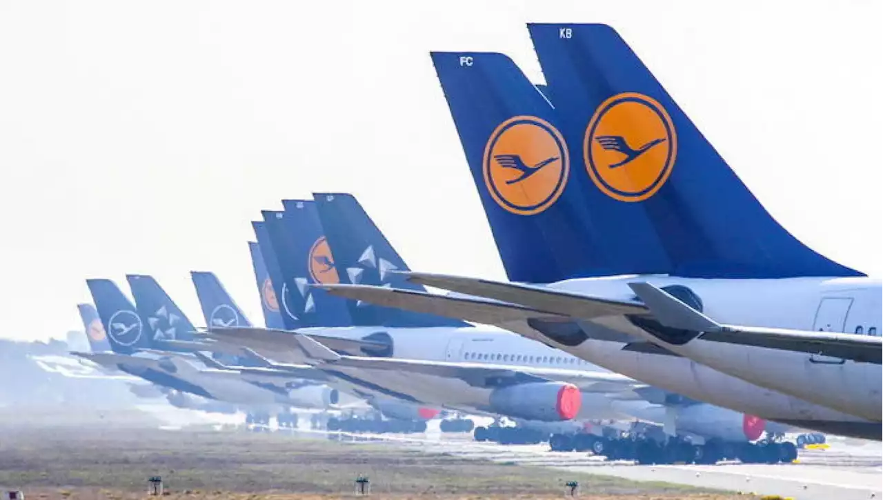 Ita Airways, Lufthansa detta le condizioni: 'Ci ritireremo se compagnia non decolla'. Il nodo della cause di lavoro