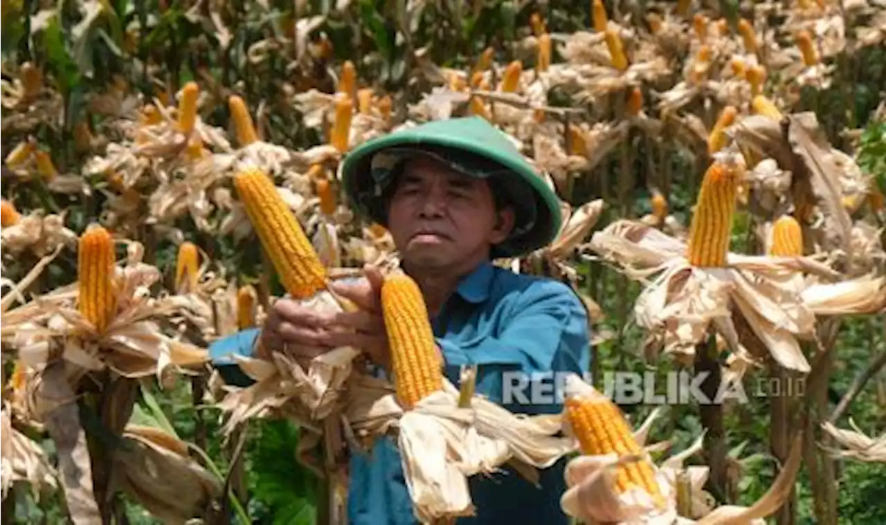 BI: Industrialisasi Pertanian Sejahterakan warga Jawa Tengah |Republika Online