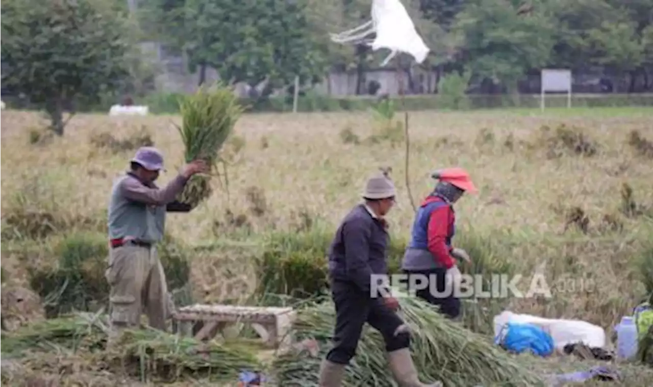 CIPS: Subsidi Logistik Pangan tak Selesaikan Masalah Harga |Republika Online