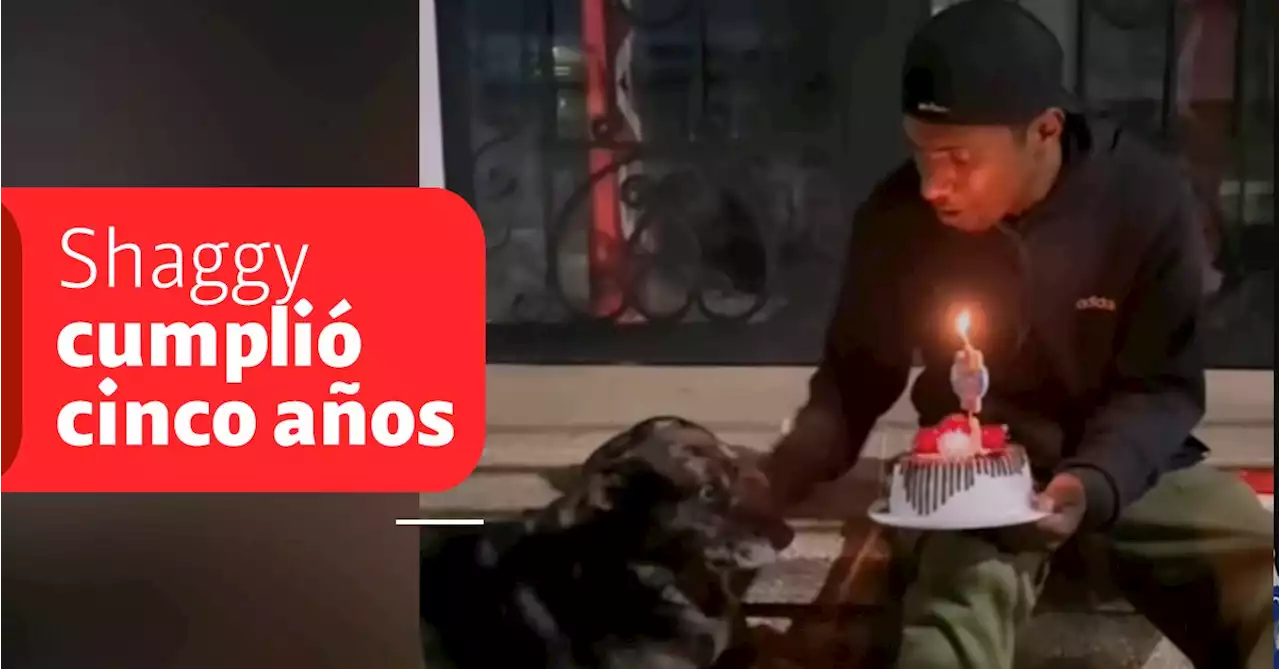 Choco nuevamente enterneció las redes tras celebrar el cumpleaños a su perro Shaggy en Bucaramanga