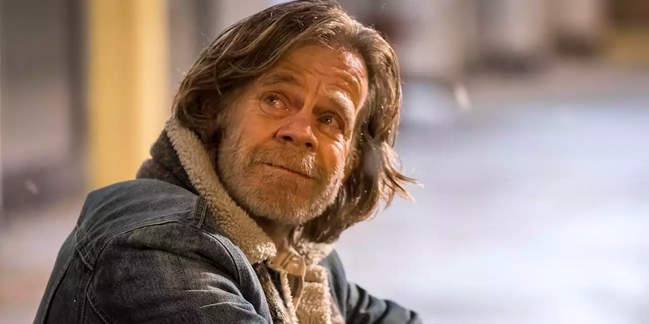 Kingdom Of The Planet Of The Apes Casts William H. Macy In Mystery Role