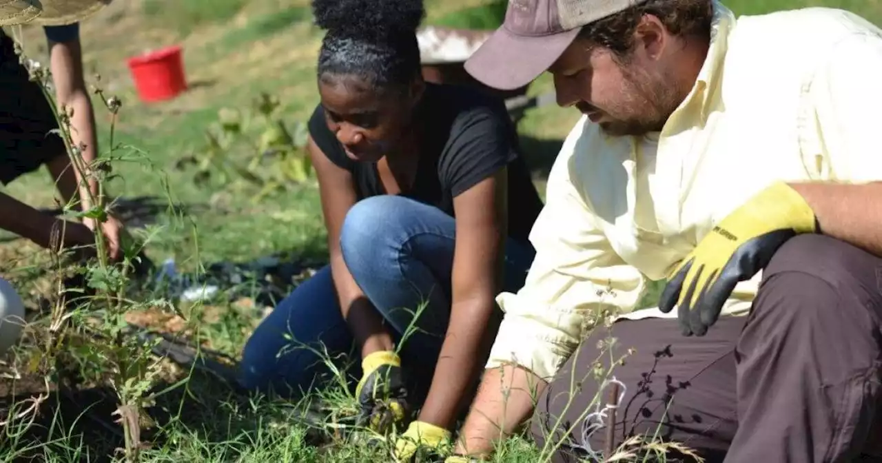 'I’ve learned so much': These teen gardeners are learning leadership running a farmstand