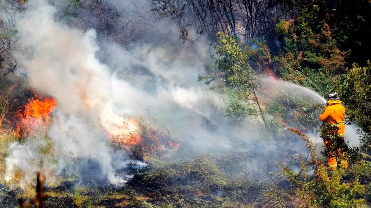 Renewed emergency bushfire warning for Western Australia